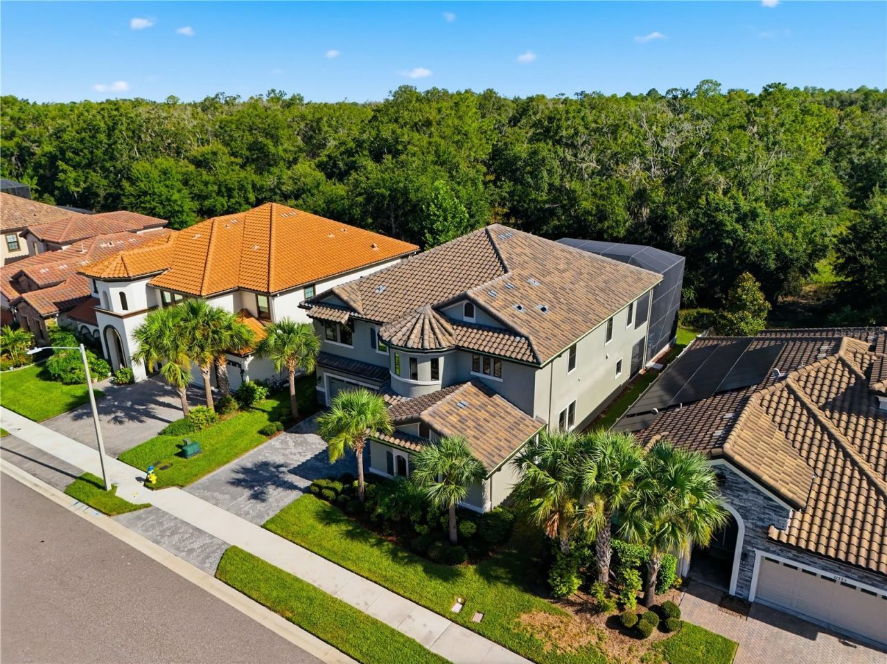 21711 Amelia Rose Way, Land O Lakes, FL 34637 Photo