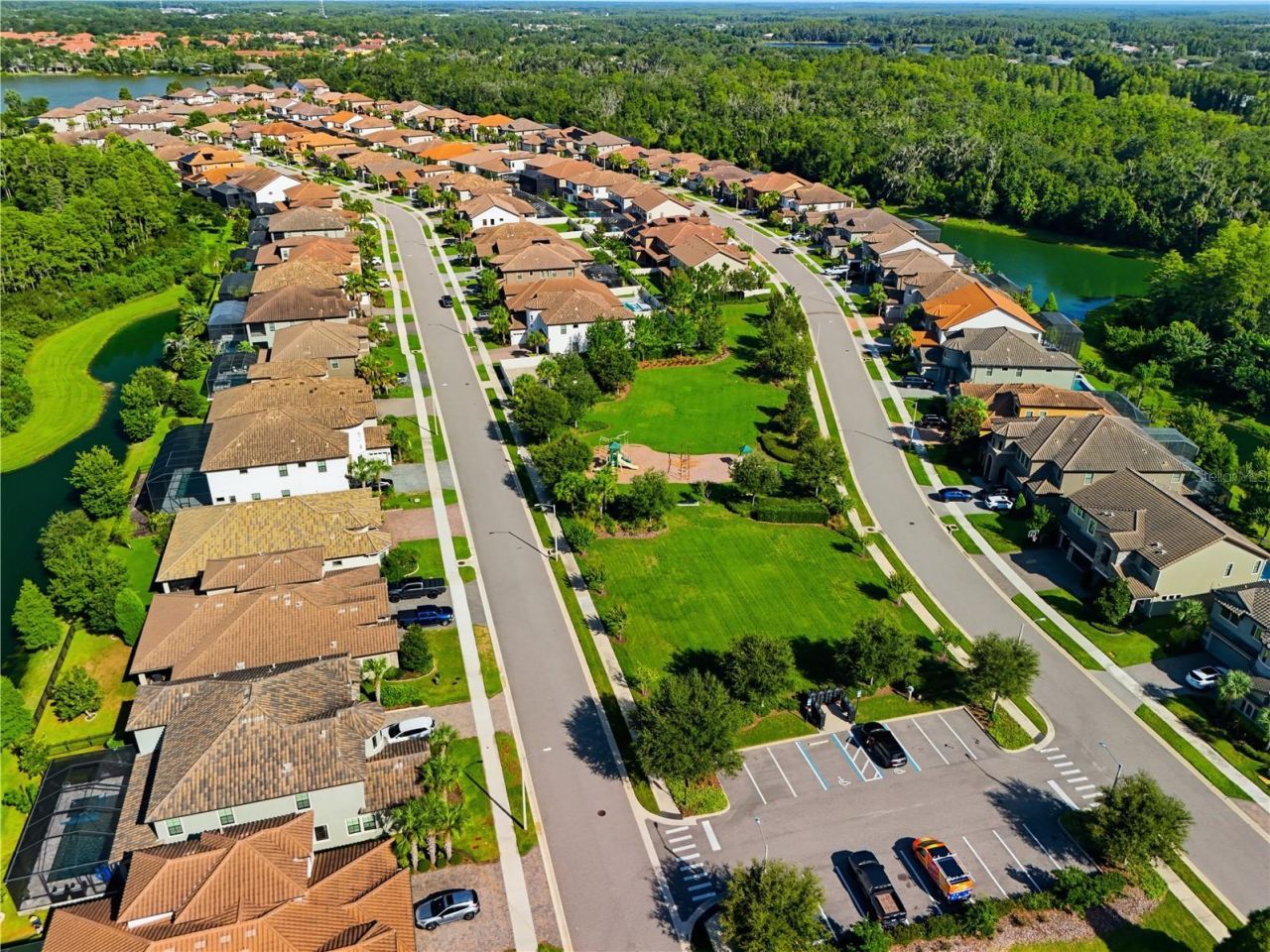 21711 Amelia Rose Way, Land O Lakes, FL 34637 Photo