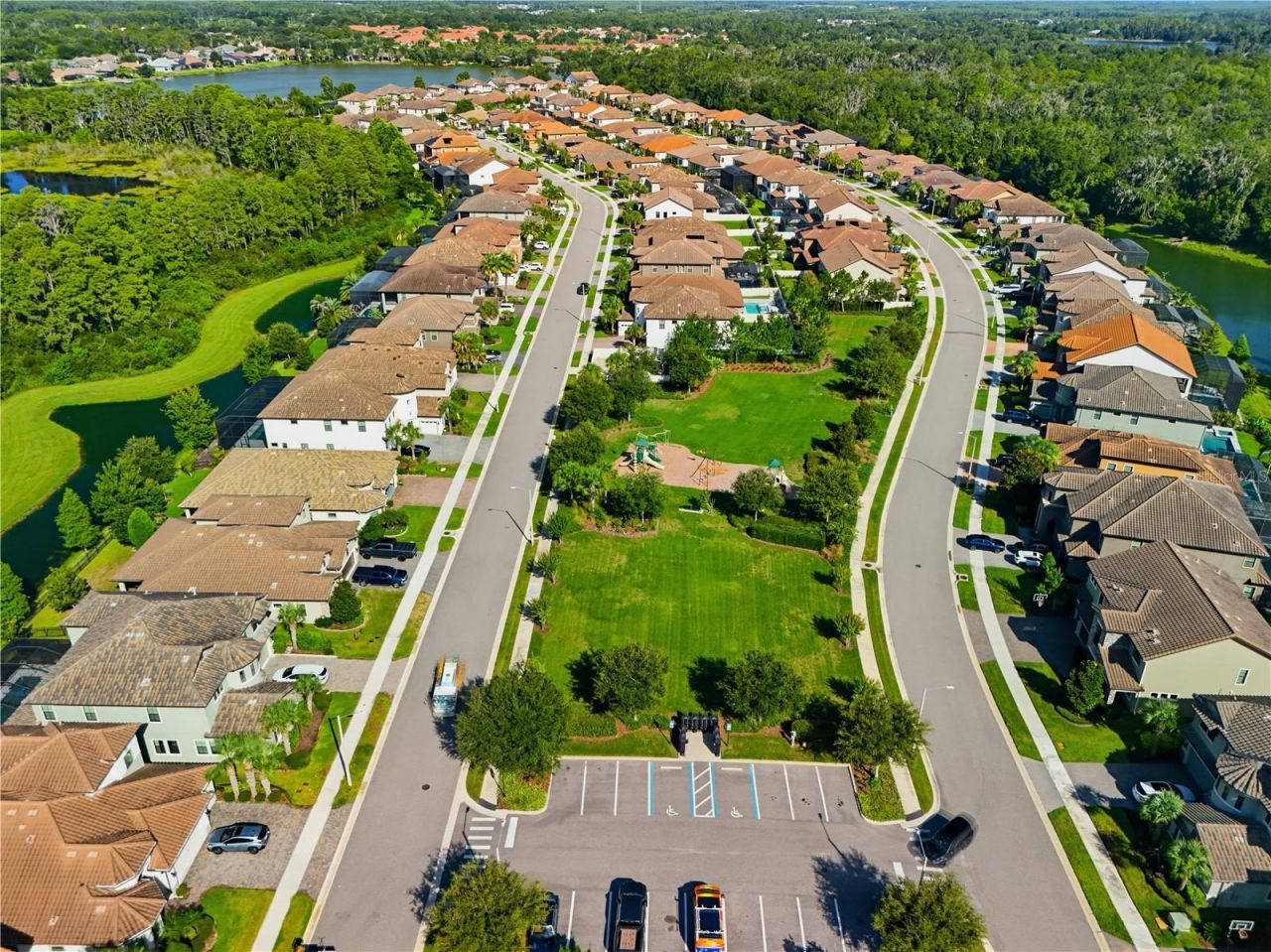 21711 Amelia Rose Way, Land O Lakes, FL 34637 Photo