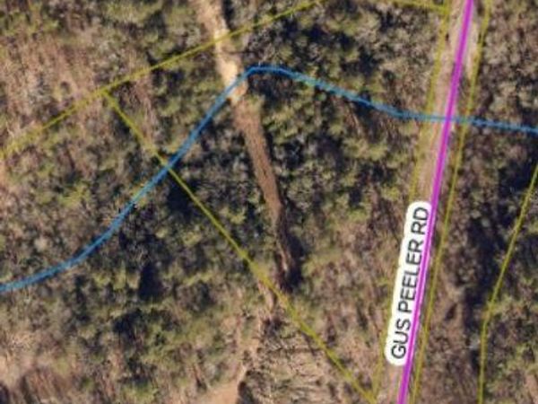 tbd Gus Peeler Road, Connelly Springs, NC 28612