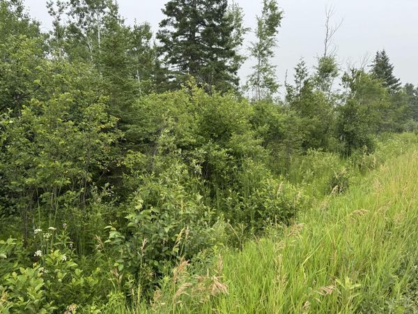 V/L 1 AC Page Road, Cheboygan, MI 49721