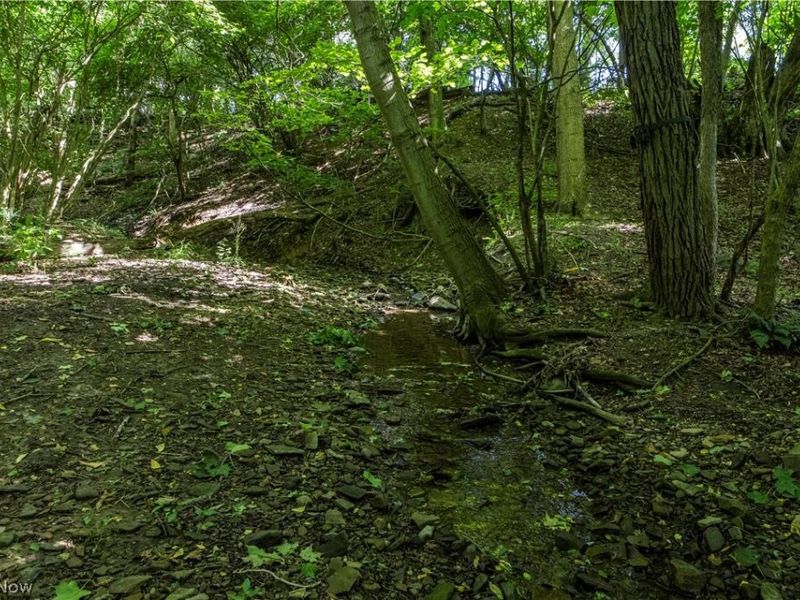 4341 Canal Road, Wooster, OH 44691 Photo 33