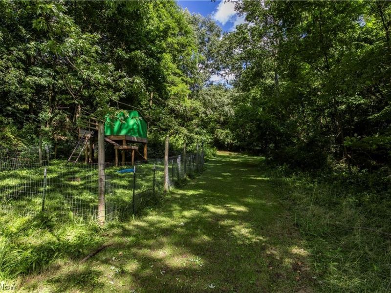 4341 Canal Road, Wooster, OH 44691 Photo 34
