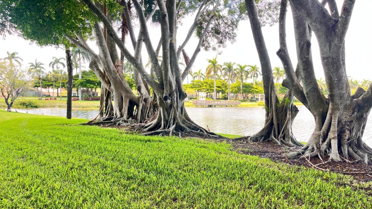 1627 Oak Berry Circle, Wellington, FL 33414 Photo