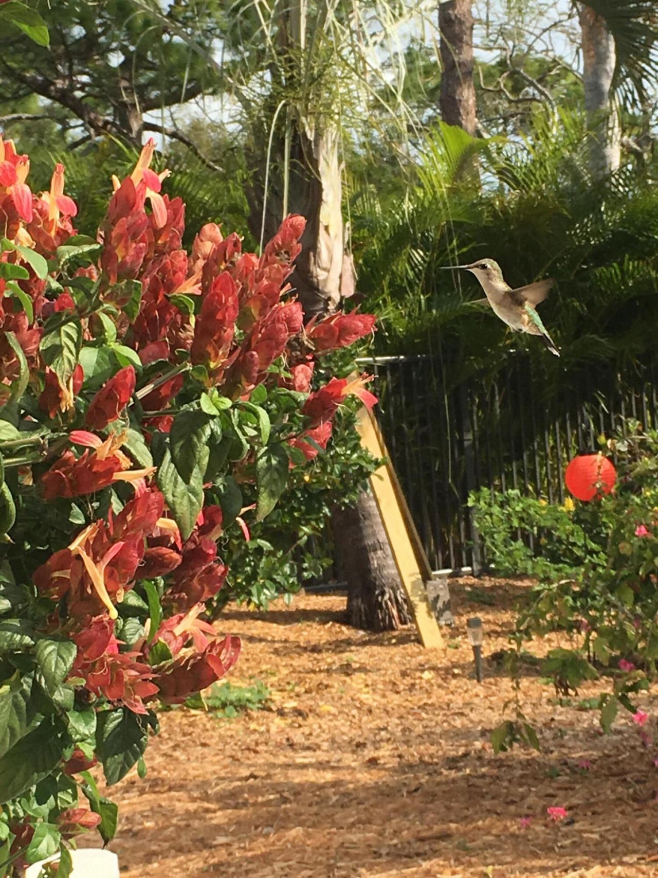 153 N River Drive E, Jupiter, FL 33458 Photo