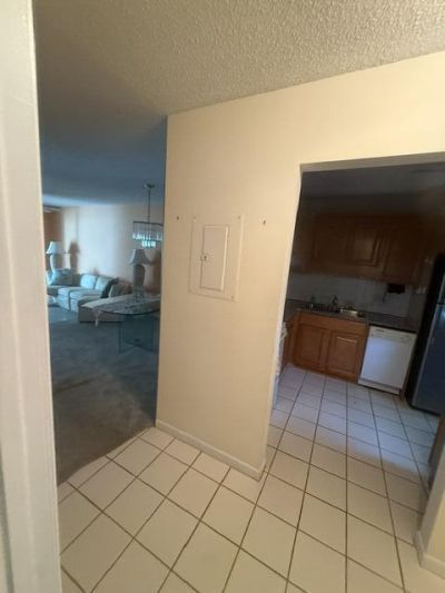 197 Lake Susan Lane, West Palm Beach, FL 33411 Photo