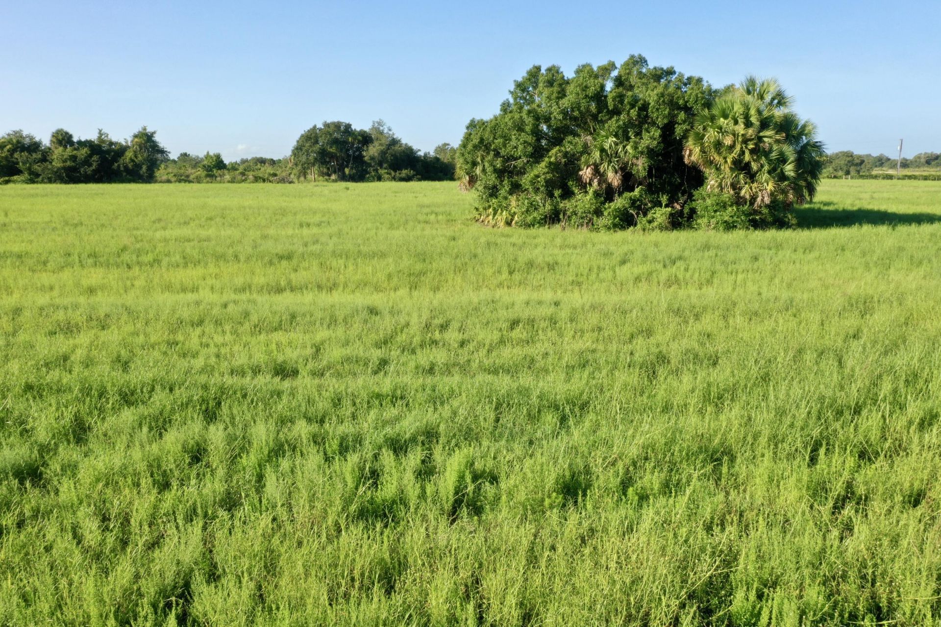 Tbd NW 276th Street, Okeechobee, FL 34972 Photo