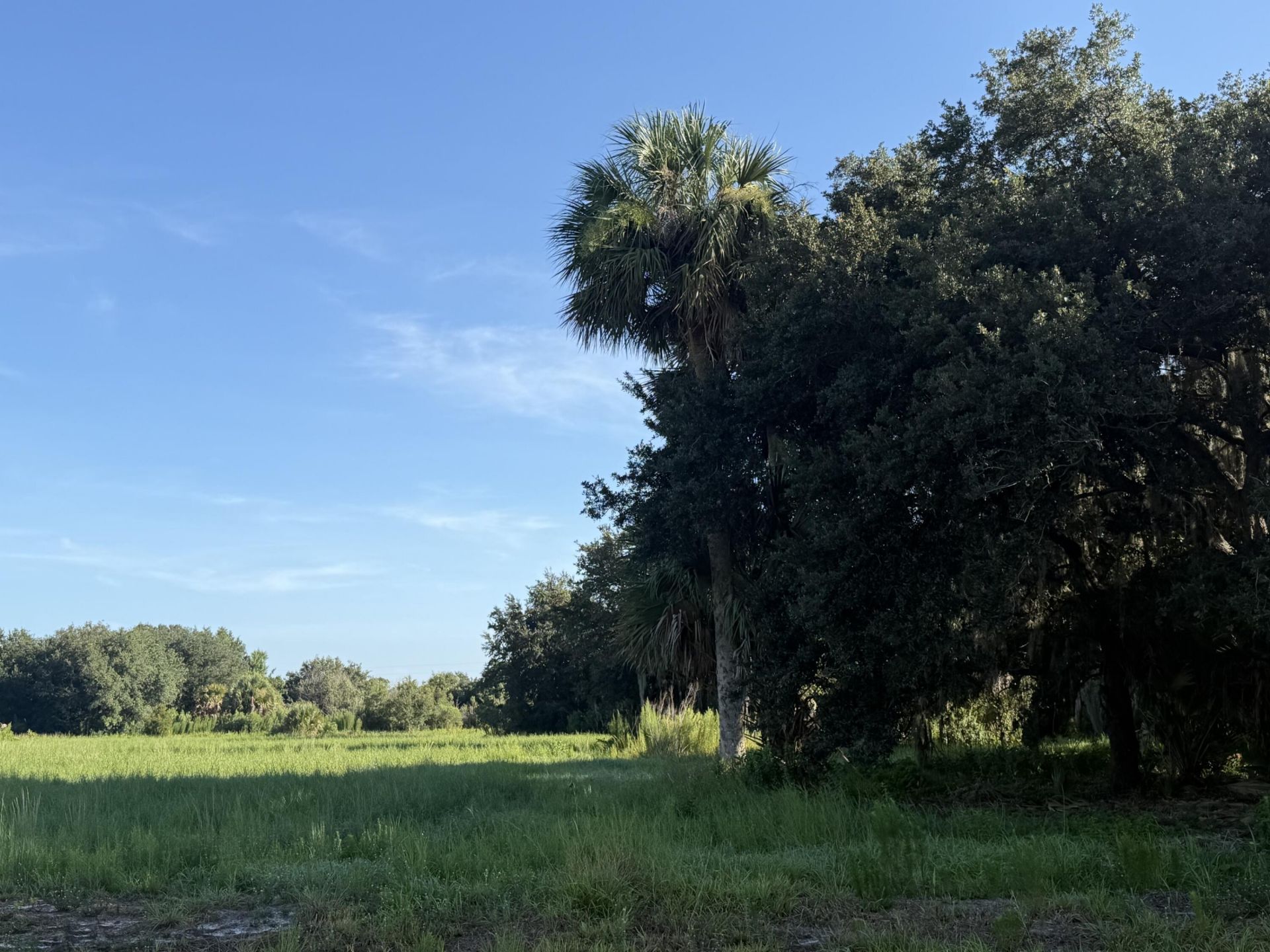 Tbd NW 276th Street, Okeechobee, FL 34972 Photo