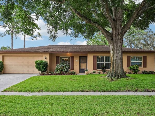3718 SAND PEBBLE DRIVE , VALRICO, FL 33596