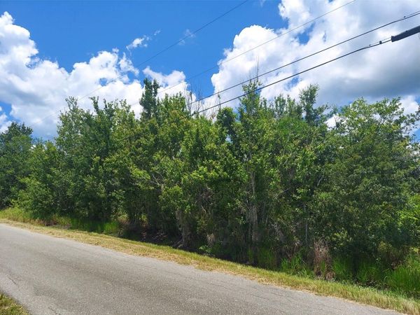 5410 BOB SMITH AVENUE , PLANT CITY, FL 33565