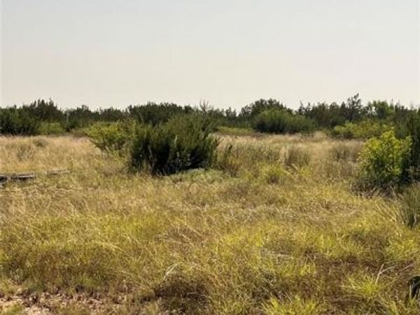 21009 Frank Road , Paint Rock, TX 76866