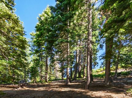 8974 Woodland Dr, Tahoma, CA 96142 Photo
