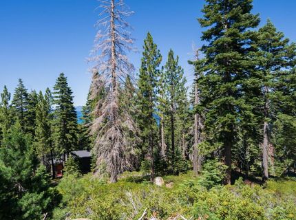 8974 Woodland Dr, Tahoma, CA 96142 Photo