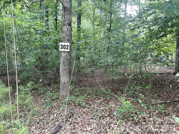 00 Bitteroot Circle , Rutherfordton, NC 28139