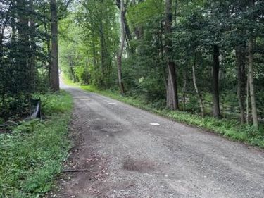 12350 ROSELAWN LANE, MIDLAND, VA 22728