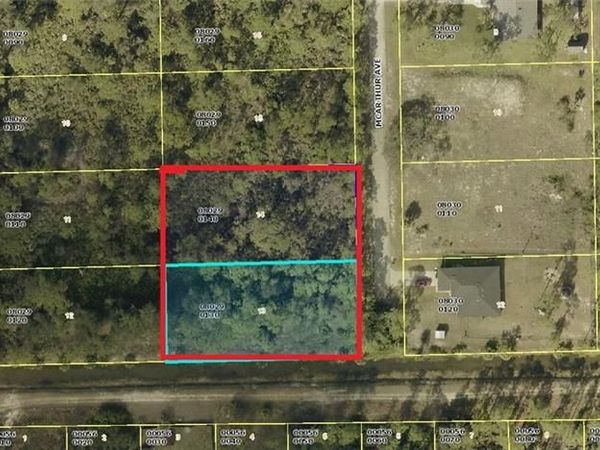 2201 AND 2203 McArthur AVE , ALVA, FL 33920