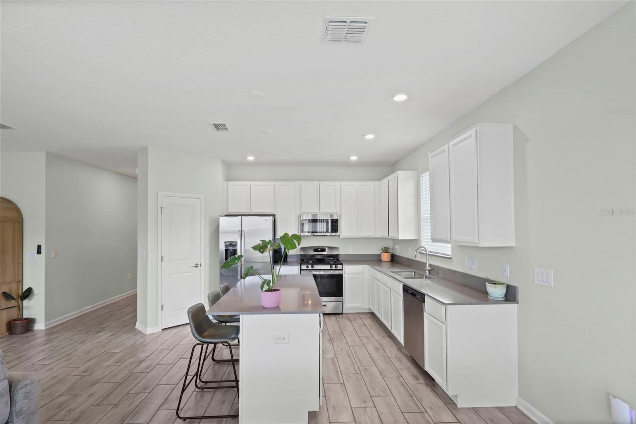 33571 Sky Blossom Circle, Leesburg, FL 34788 Photo