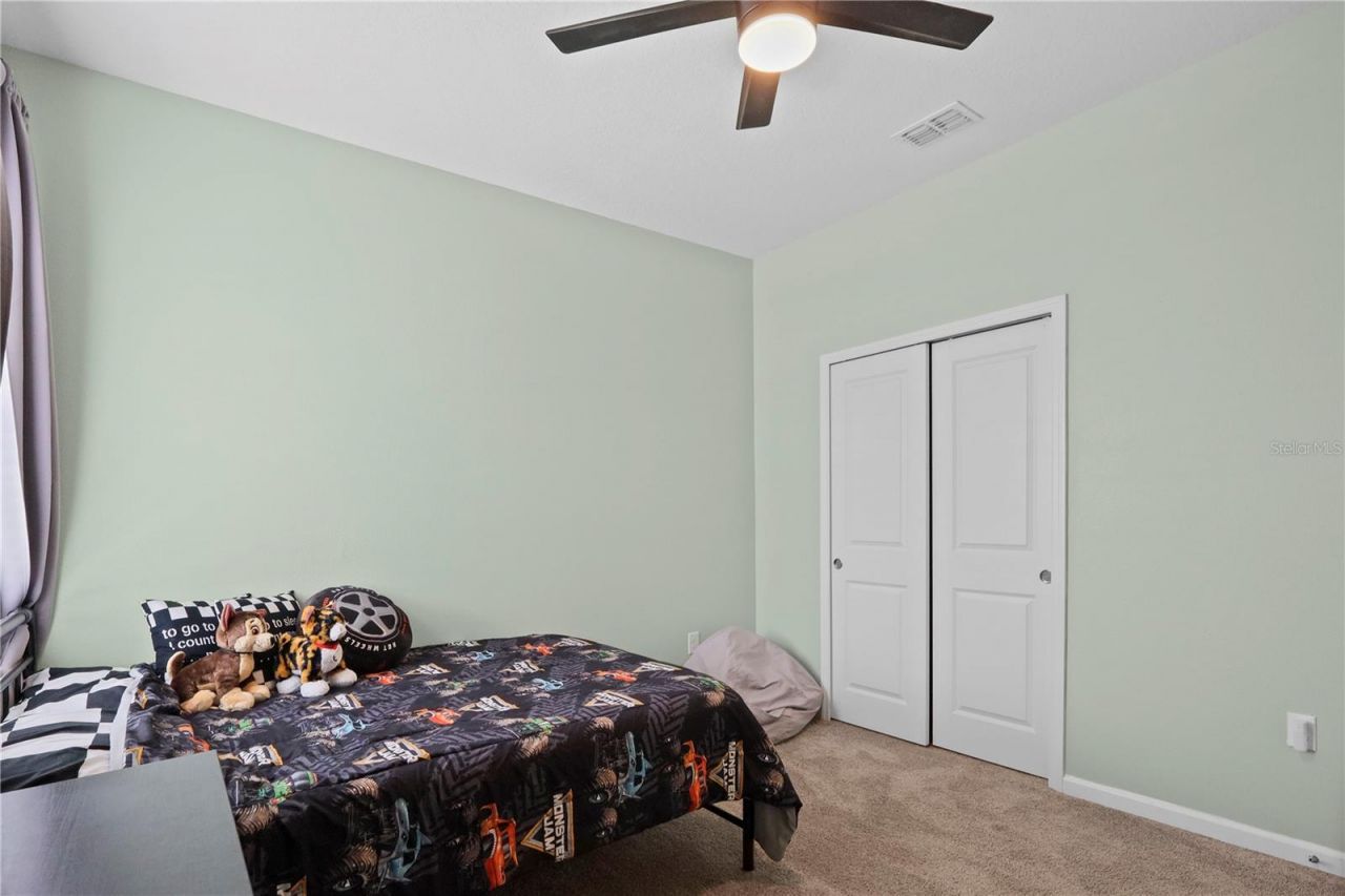 33571 Sky Blossom Circle, Leesburg, FL 34788 Photo