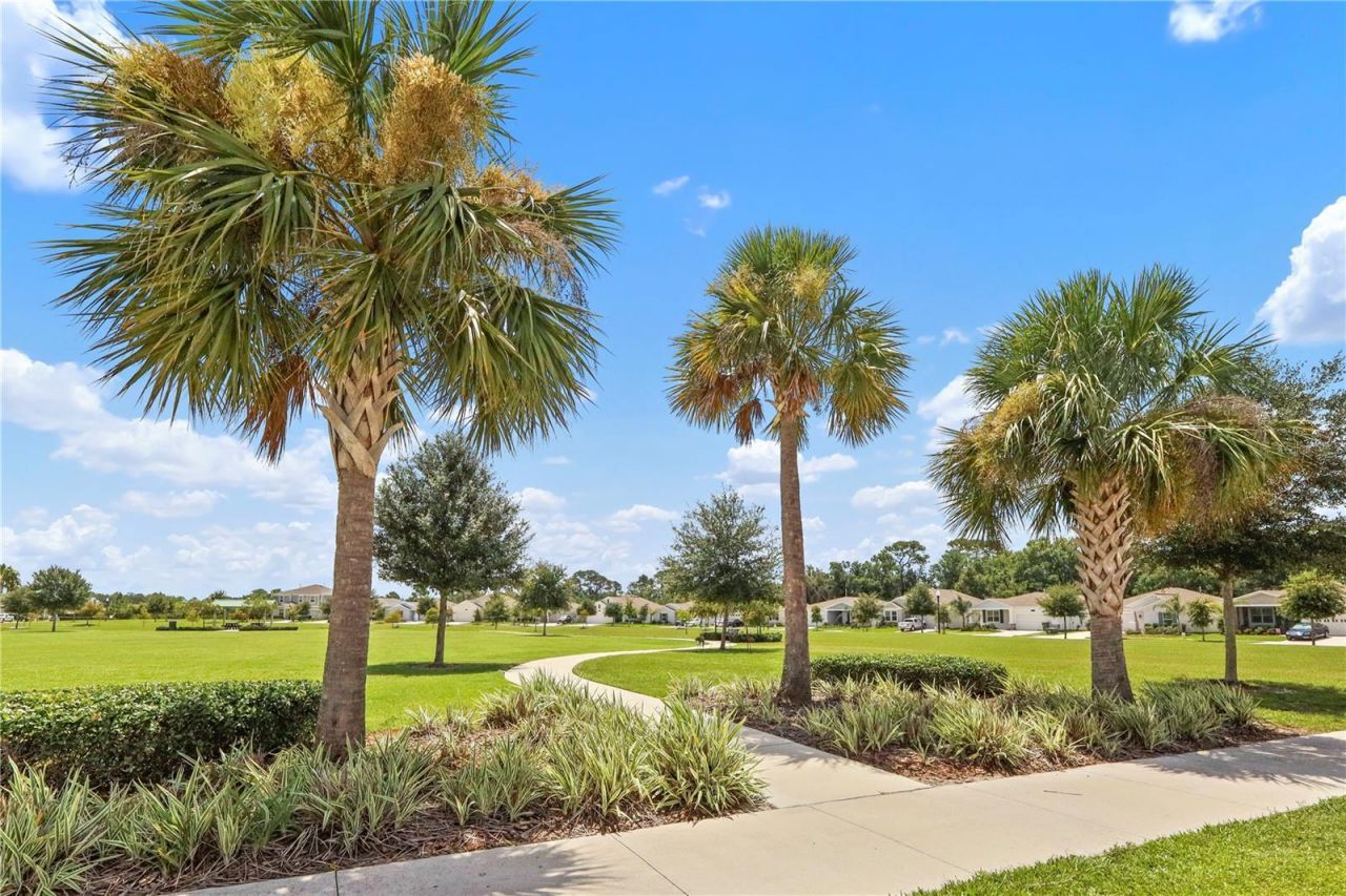 33571 Sky Blossom Circle, Leesburg, FL 34788 Photo