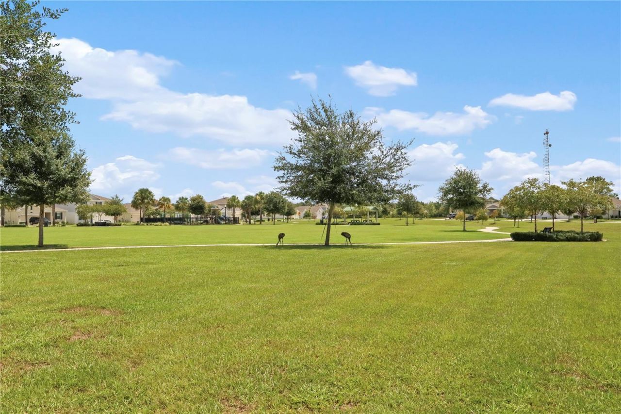 33571 Sky Blossom Circle, Leesburg, FL 34788 Photo
