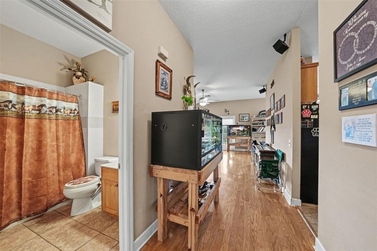 36304 Tomkow Lane, Dade City, FL 33523 Photo