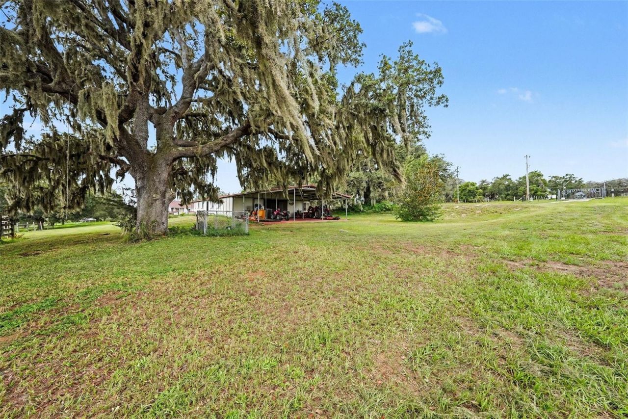 36304 Tomkow Lane, Dade City, FL 33523 Photo