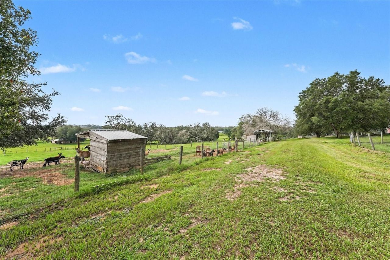 36304 Tomkow Lane, Dade City, FL 33523 Photo