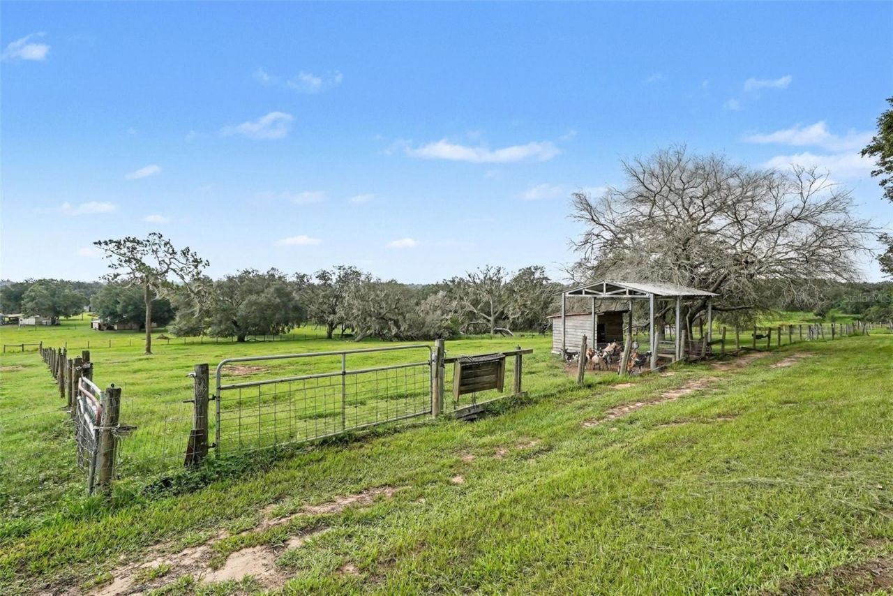 36304 Tomkow Lane, Dade City, FL 33523 Photo