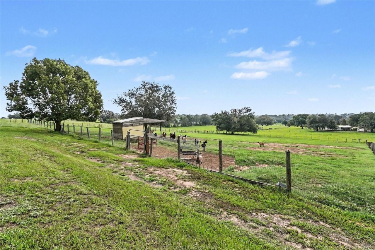 36304 Tomkow Lane, Dade City, FL 33523 Photo