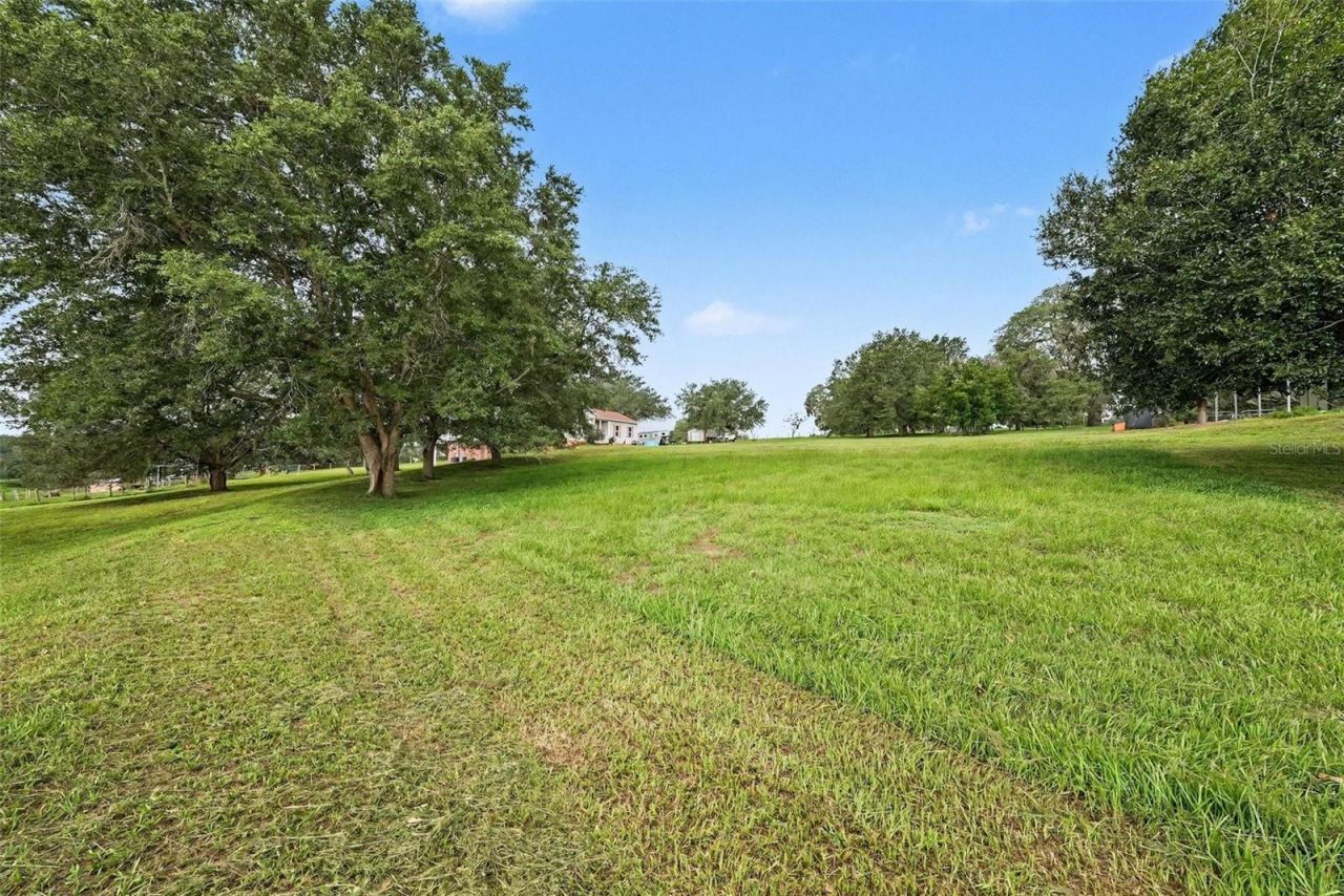 36304 Tomkow Lane, Dade City, FL 33523 Photo