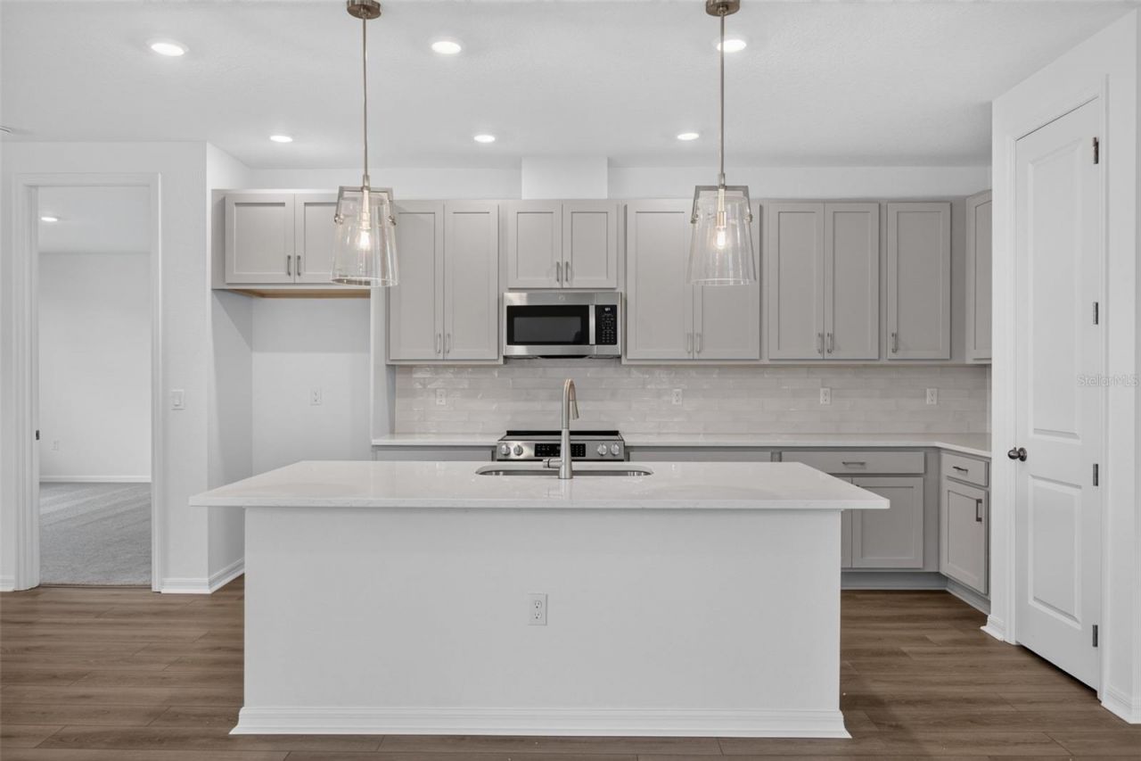 30173 Emerald Forest Drive, Mount Dora, FL 32757 Photo
