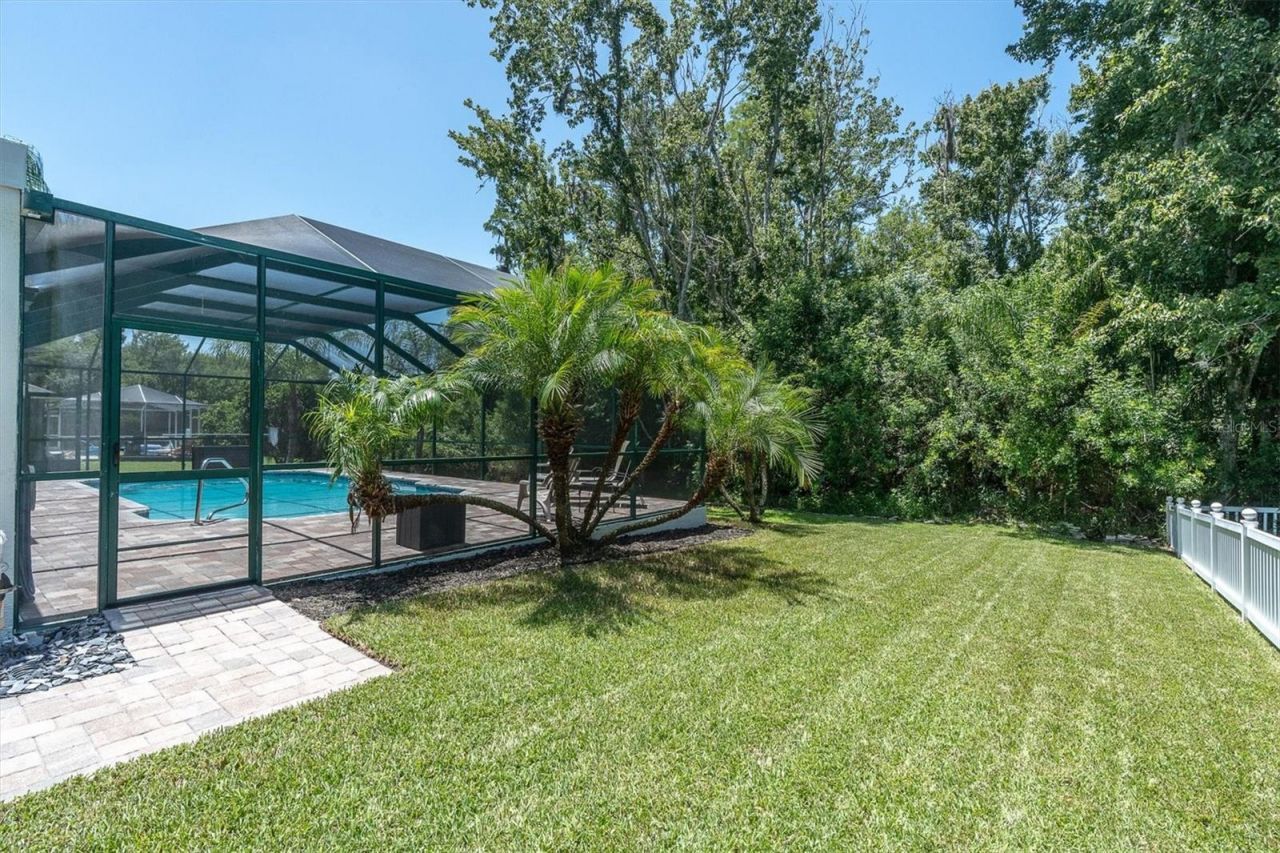 1625 Percheron Drive , Trinity, FL 34655 Photo