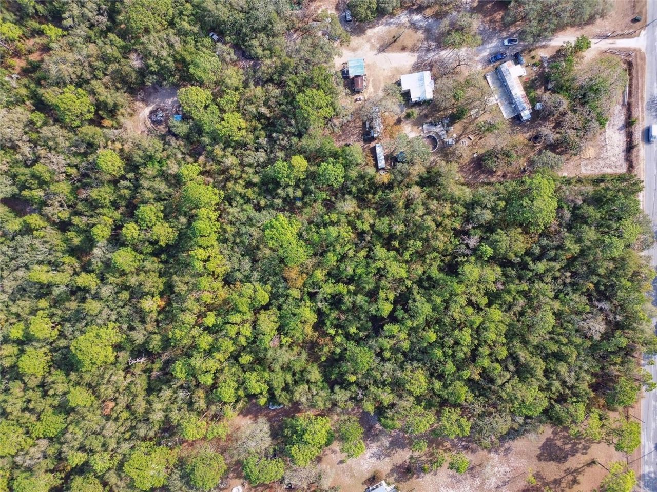 Little Ranch Road , Spring Hill, FL 34610 Photo