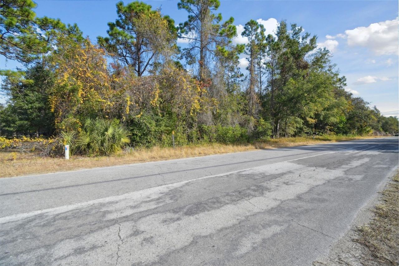 Little Ranch Road , Spring Hill, FL 34610 Photo