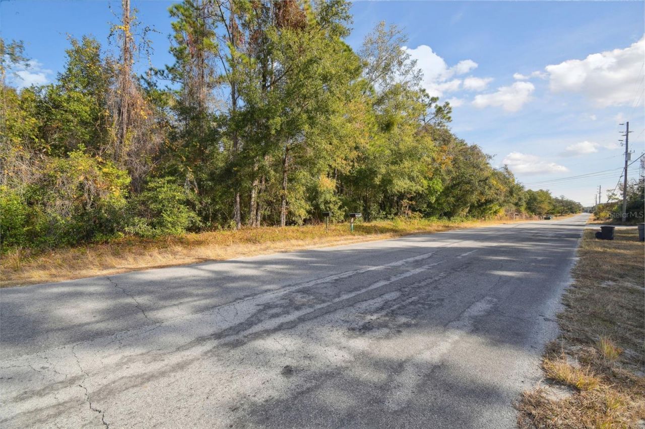 Little Ranch Road , Spring Hill, FL 34610 Photo
