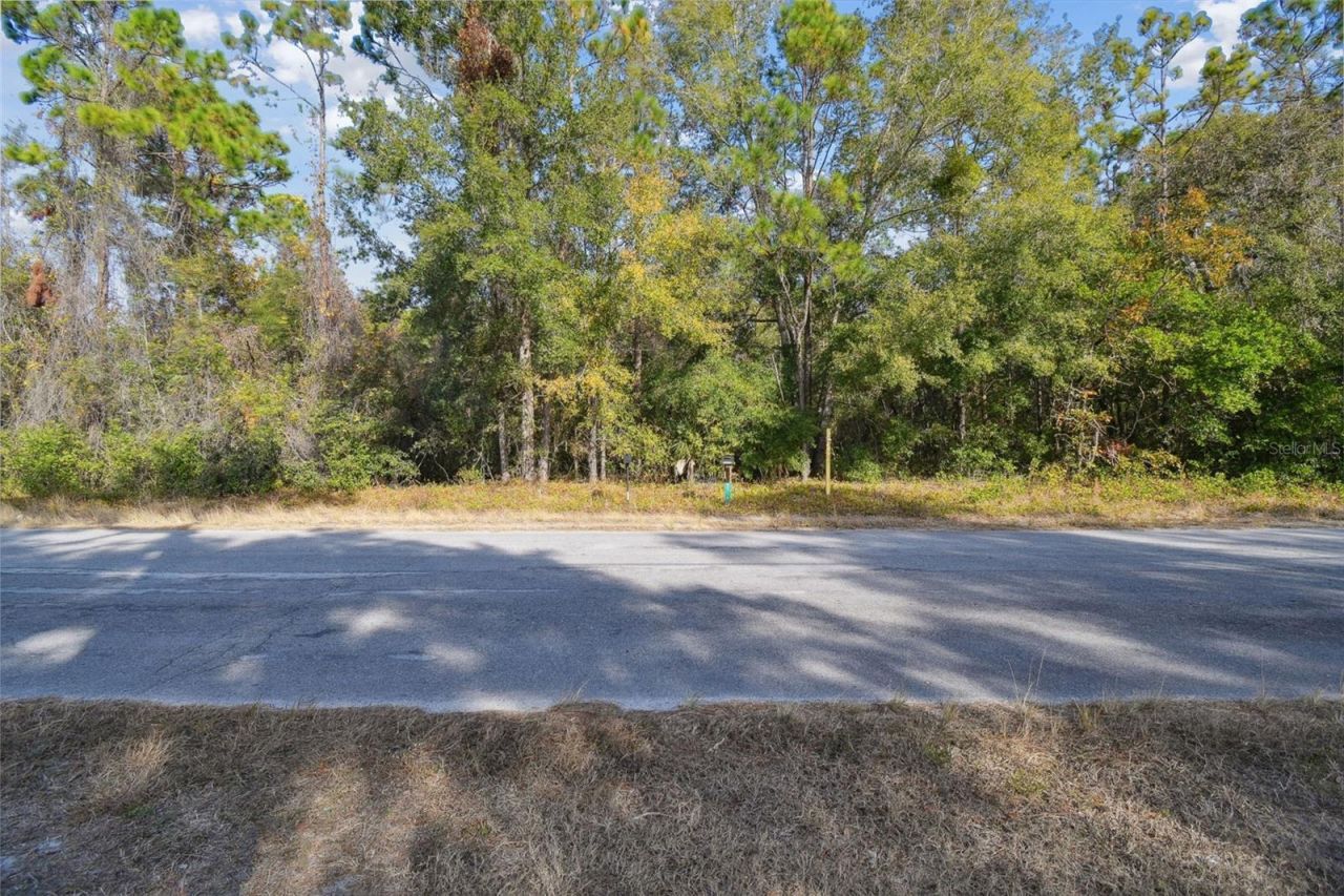 Little Ranch Road , Spring Hill, FL 34610 Photo