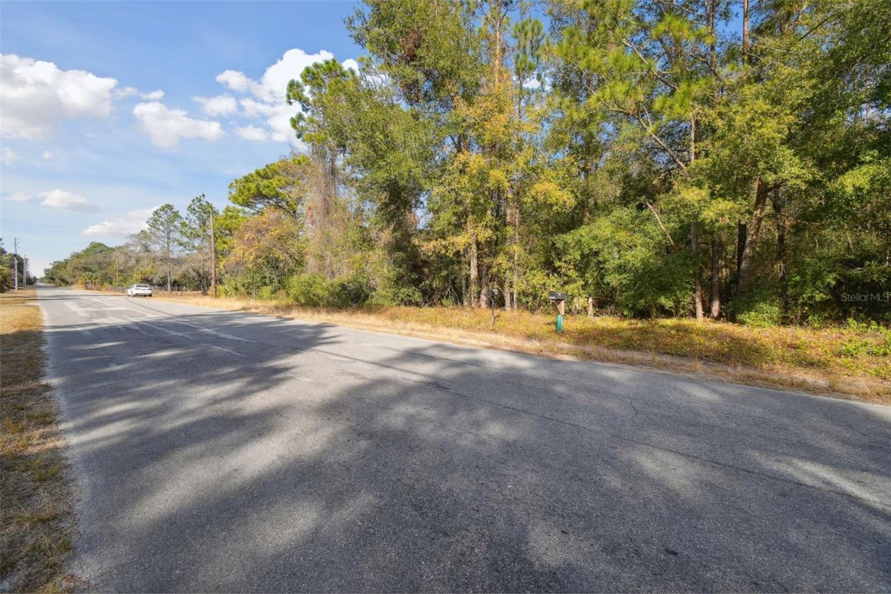 Little Ranch Road , Spring Hill, FL 34610 Photo