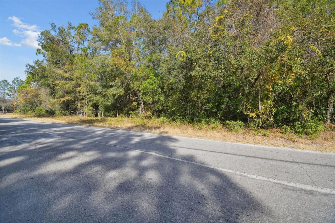Little Ranch Road , Spring Hill, FL 34610 Photo