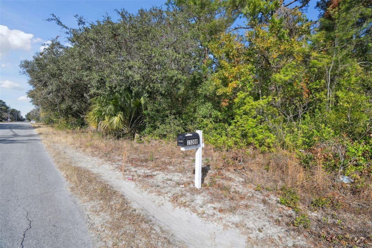 Little Ranch Road , Spring Hill, FL 34610 Photo