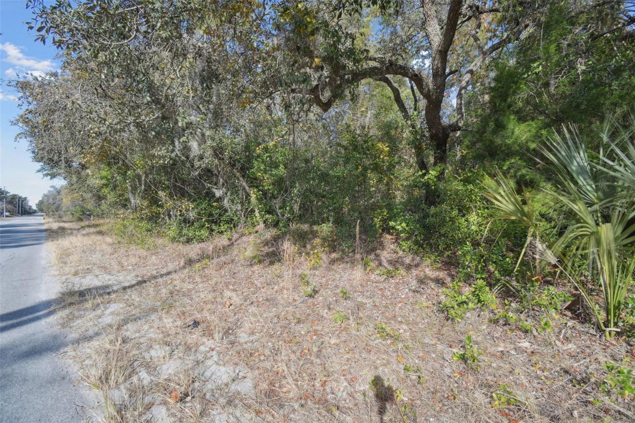Little Ranch Road , Spring Hill, FL 34610 Photo