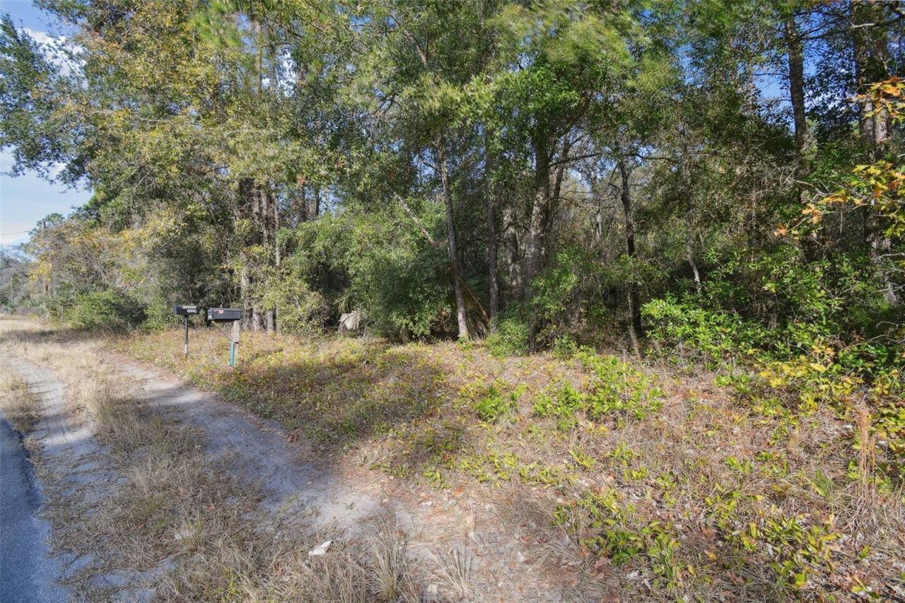 Little Ranch Road , Spring Hill, FL 34610 Photo
