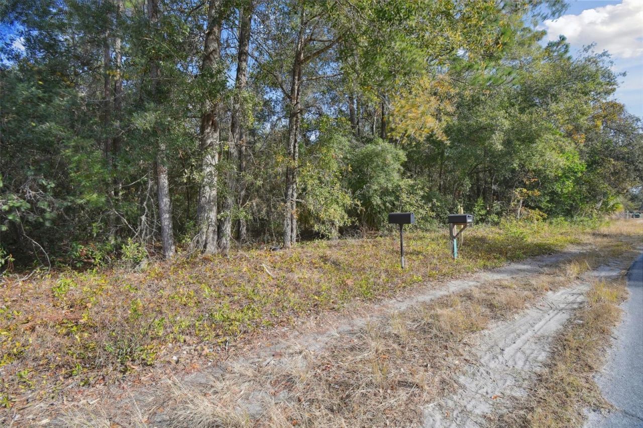 Little Ranch Road , Spring Hill, FL 34610 Photo
