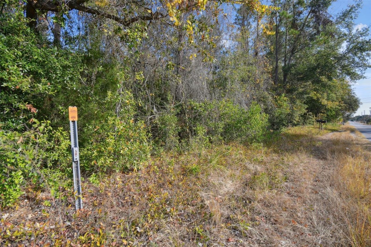 Little Ranch Road , Spring Hill, FL 34610 Photo