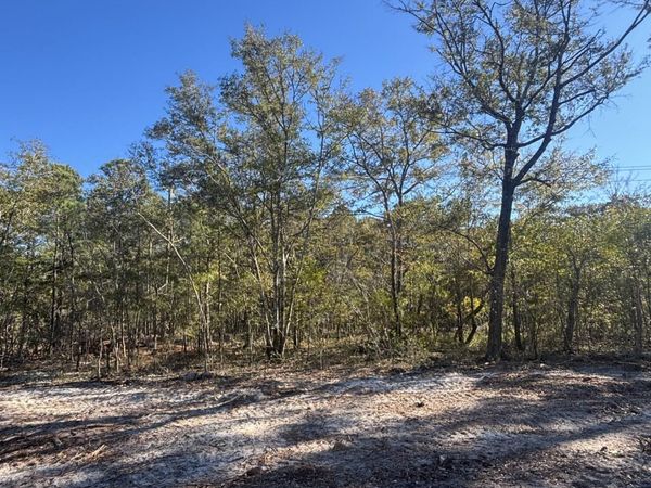 Lot 200 Coral Gull Street , Southport, NC 28461