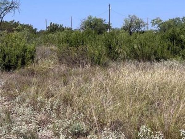 21008 Frank Road , Paint Rock, TX 76866