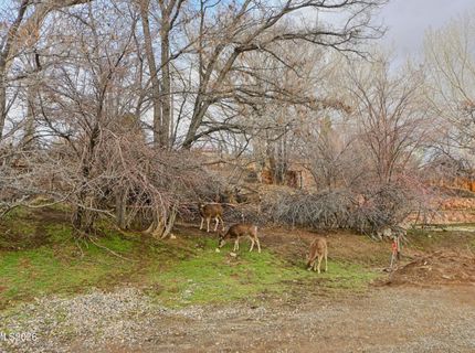1600 E Long Street, Unit 11, Carson City, NV 89706 Photo