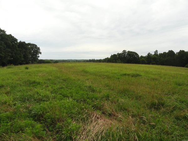 386 Reedville Road , Saint Joe, AR 72675
