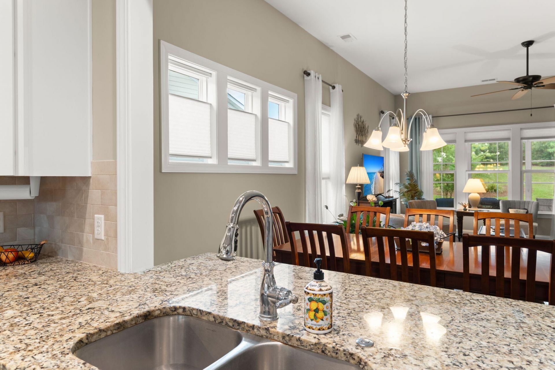 3053 Cross Vine Lane Photo 31