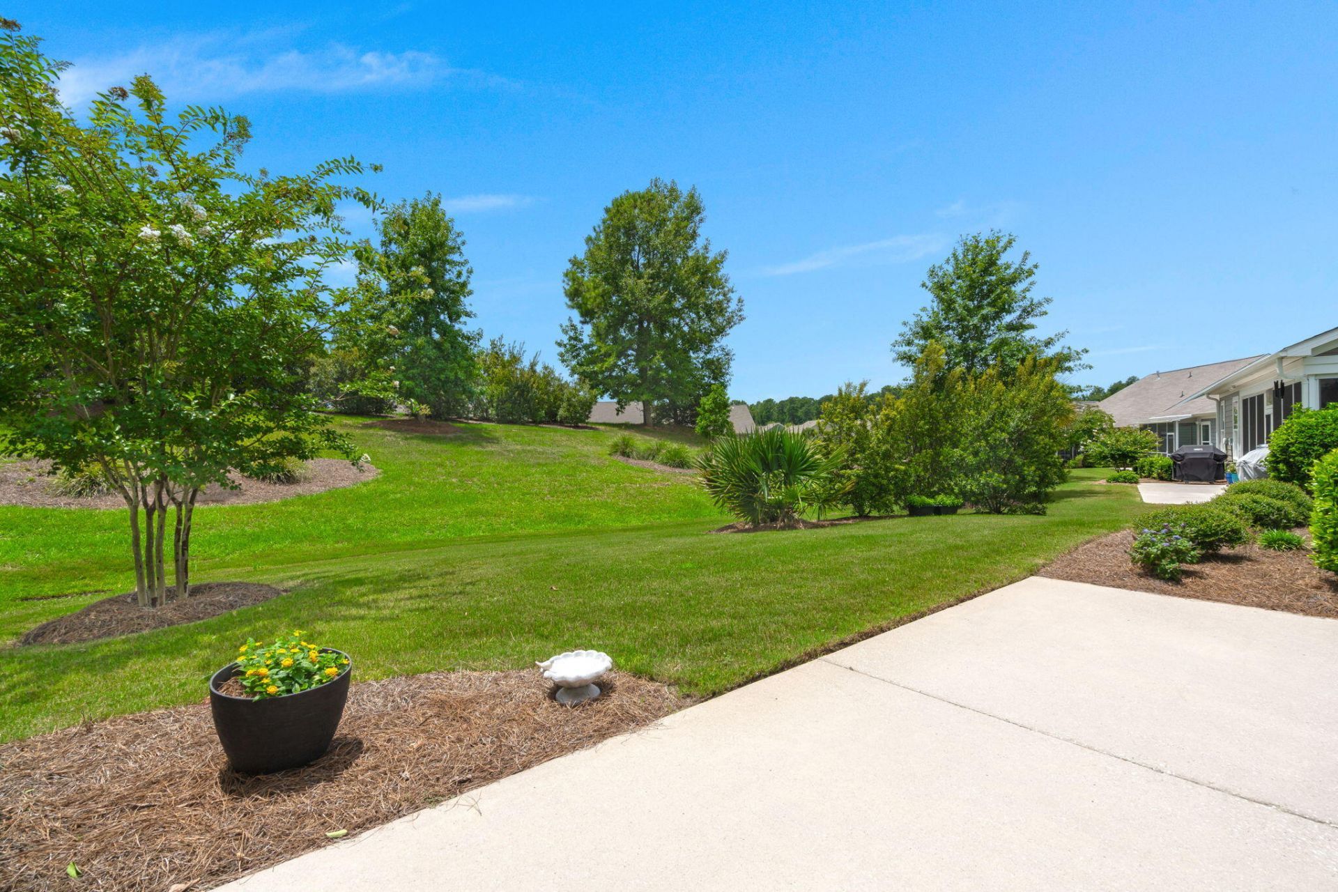 3053 Cross Vine Lane Photo 64