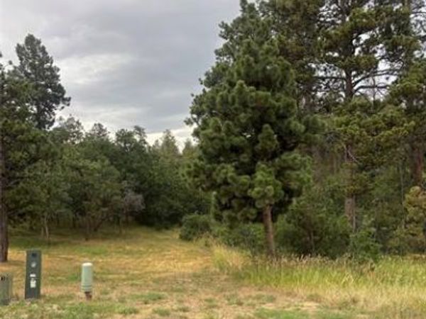 1455 Blueberry Hills Road, Monument, CO 80132